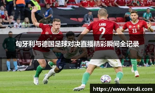 NG体育官网