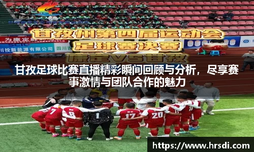 NG体育官网