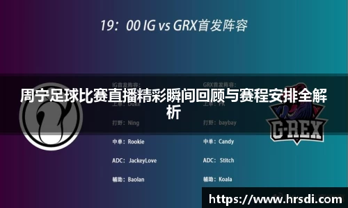NG体育网址