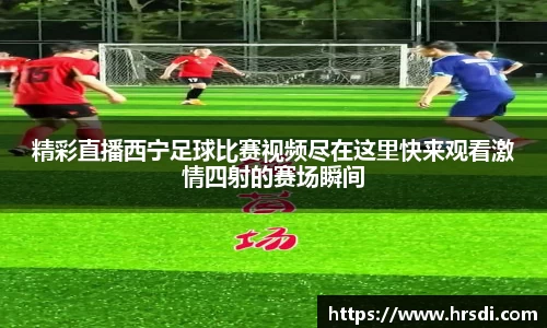 NG体育下载