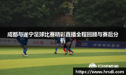 NG体育网址