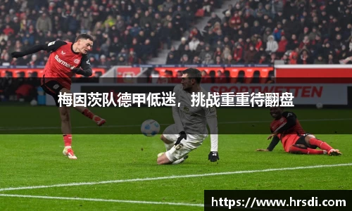 NG体育下载