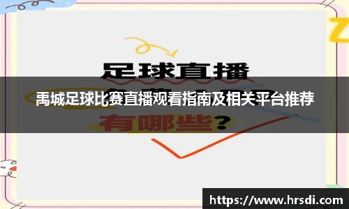 NG体育下载