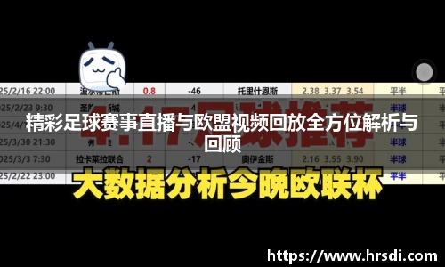 NG体育网址