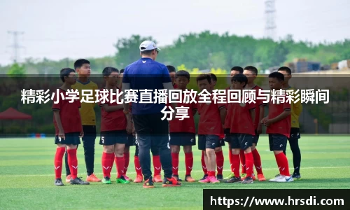 NG体育下载