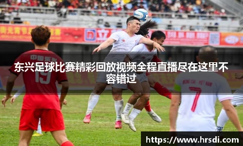 NG体育网址