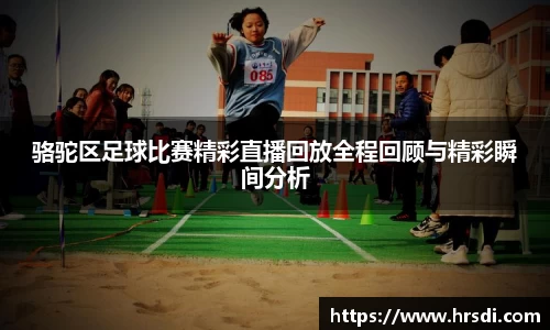 NG体育官网