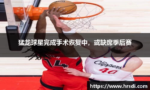 NG体育官网