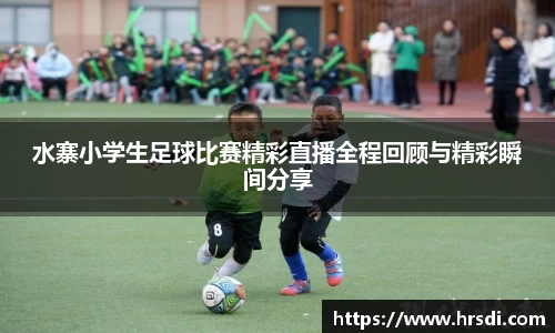 NG体育下载