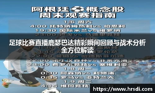 NG体育下载