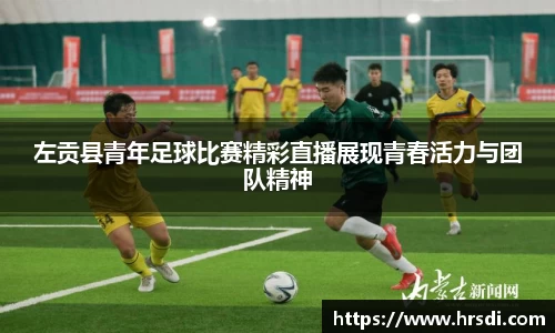 NG体育下载
