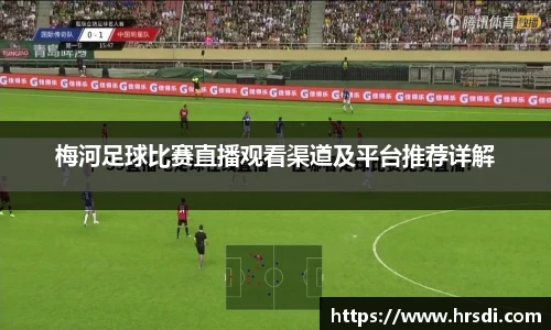 NG体育官网