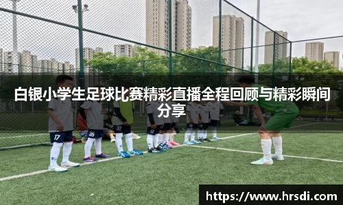 NG体育网址