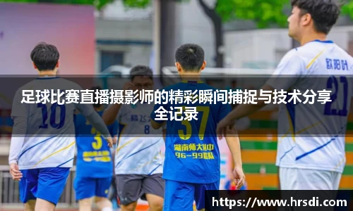 NG体育下载