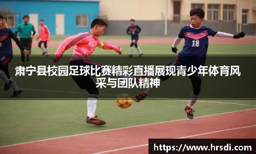 NG体育网址