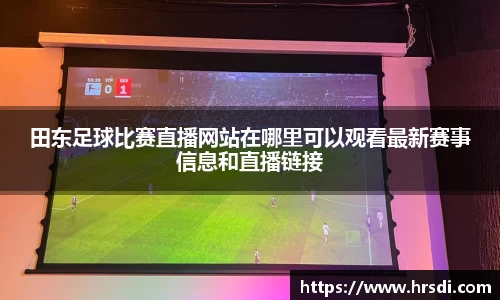 NG体育下载