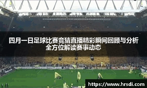 NG体育官网