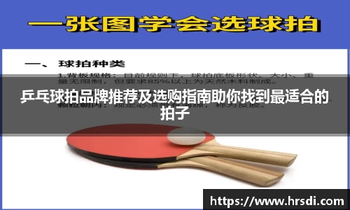 NG体育下载