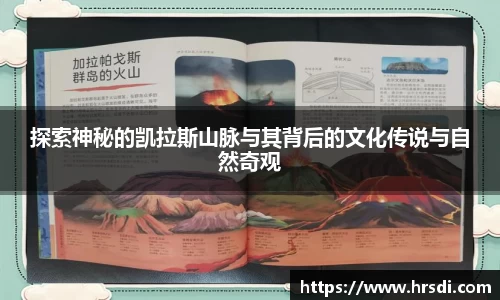 NG体育官网