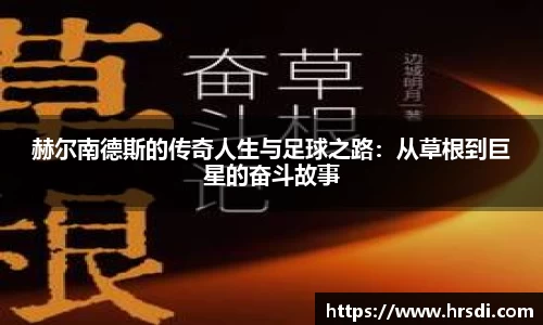NG体育官网