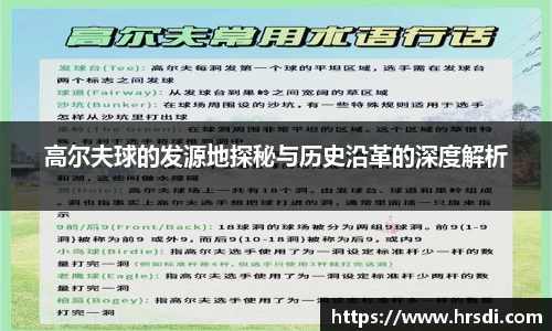 NG体育官网