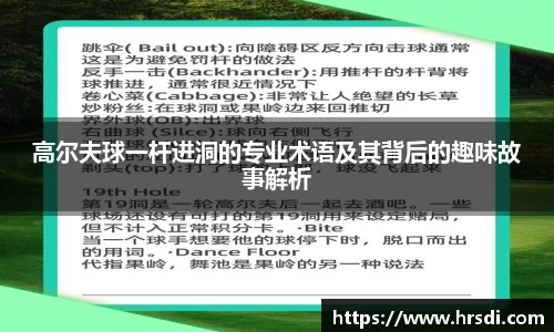 NG体育下载