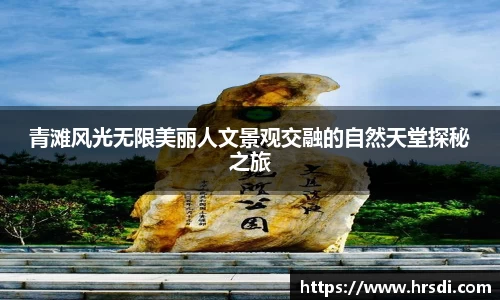 NG体育官网