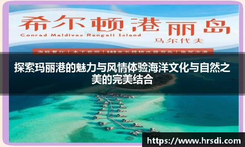 NG体育网址